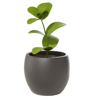 Plantas de Interior